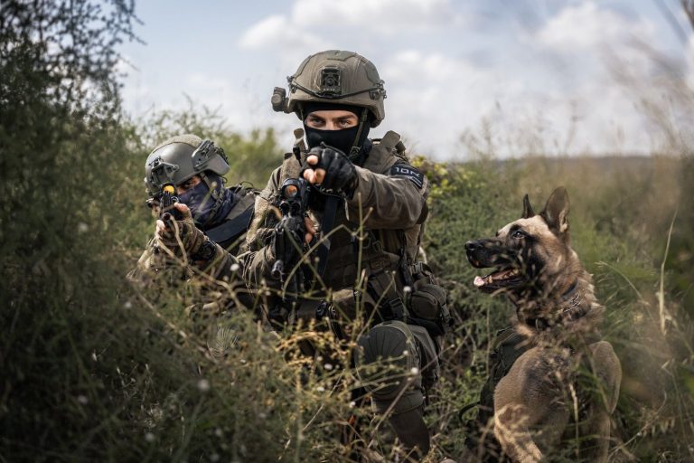 Creomagic to Provide Advanced Live Video and Communication Solution for Tier-1 Military K9 Unit