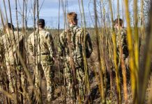 Silent Professionals Set the Conditions for Red Flag Success